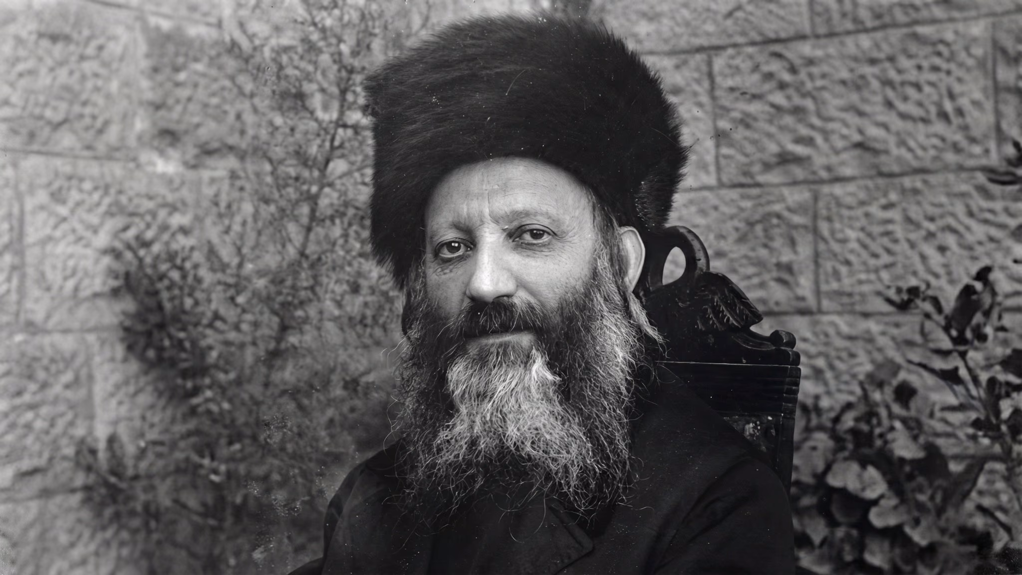 הרב קוק ב