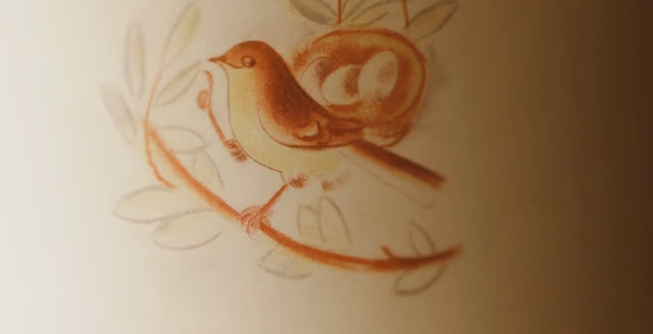 Vintage children's book illustration of a bird perched on a branch, from the documentary series Just One More Story